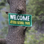 Ayubia National Park in Murree